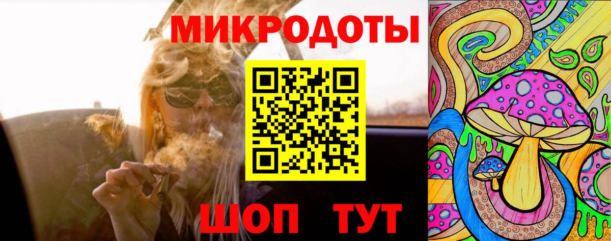 Галлюциногенные грибы Psilocybe Шелехов